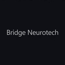 Bridge Neurotech Inc. logo