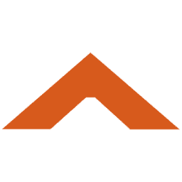 Viasonix logo