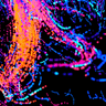 Aleph Neuro logo
