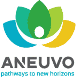 Aneuvo logo