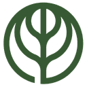 Salma Health logo