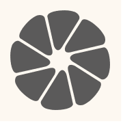 Connectoma Neuro logo