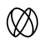 Hemispheric logo
