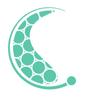 Linari Medical logo