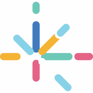 Brainnovation Network logo