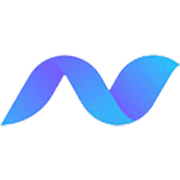 Neuroconcise.co logo