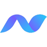 Neuroconcise.co logo