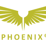 EvrenVNS logo