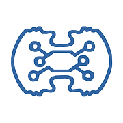 Braincapture logo