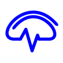 ArcheOptix Biomedical logo