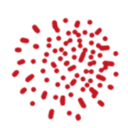 Quantanosis logo