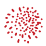 Quantanosis logo