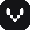 Virtuleap logo